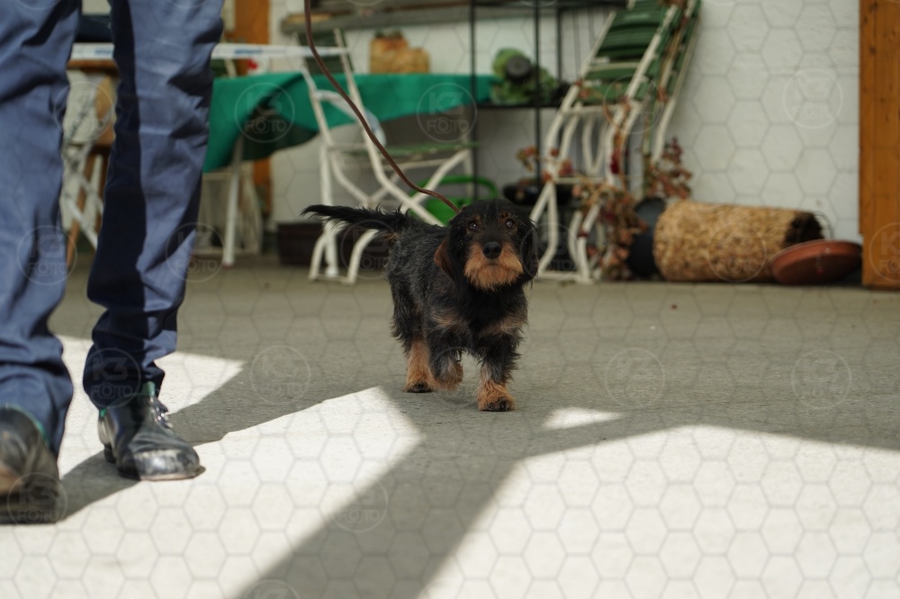 s_A9_09217.jpg